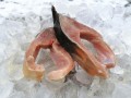 IMG_20201210_143858.jpg